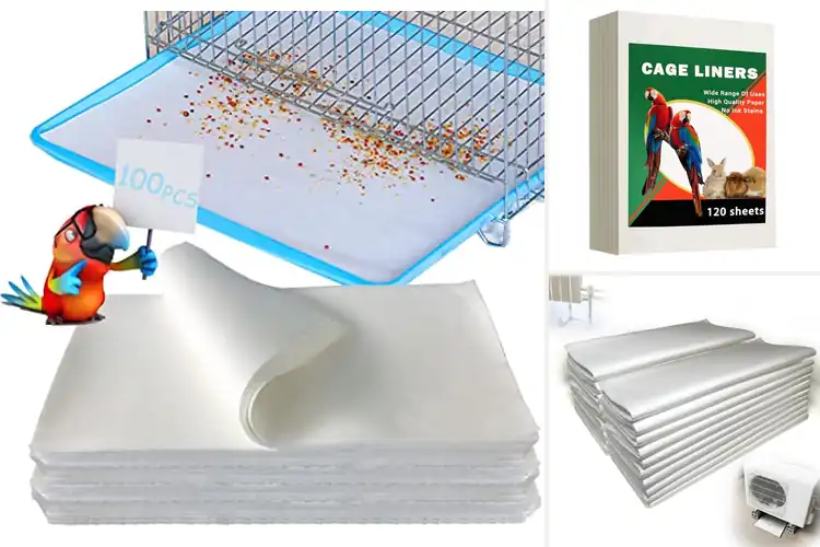Detailed view of Best Absorbent Cushion Pad Mats for Clean, Dry Spaces
