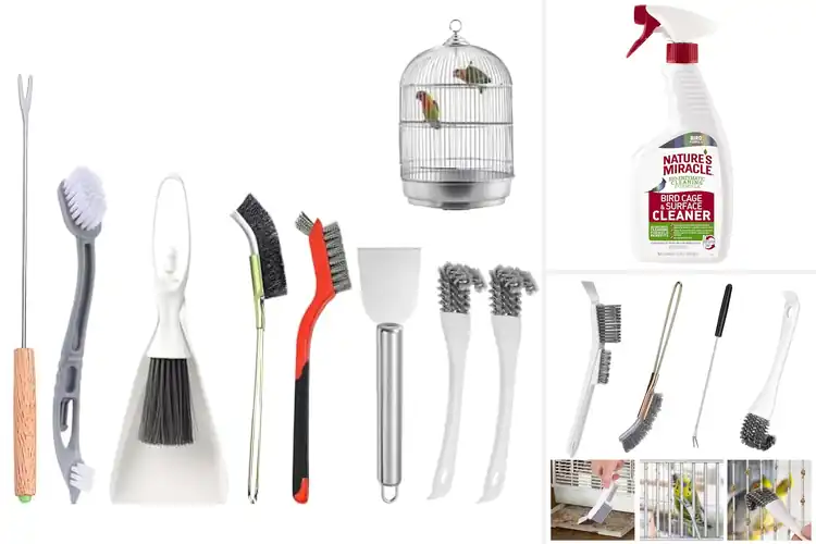 Detailed view of Best Bird Cage Cleaning Supplies