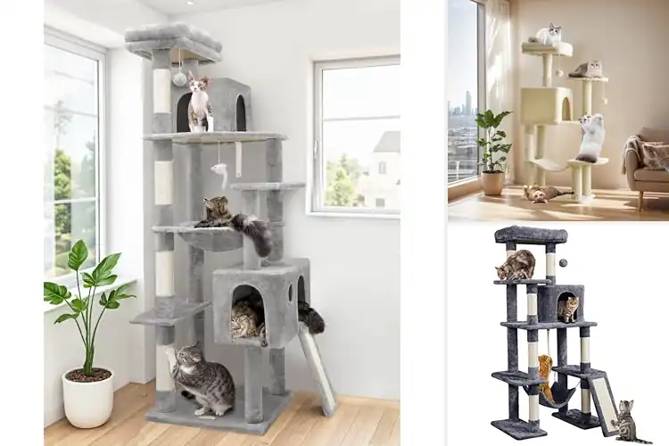 Detailed view of Best Cat Tree Towers