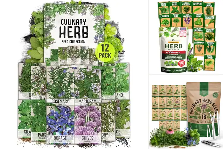 Detailed view of Best Culinary Herb Seeds for Fresh Homegrown Flavor