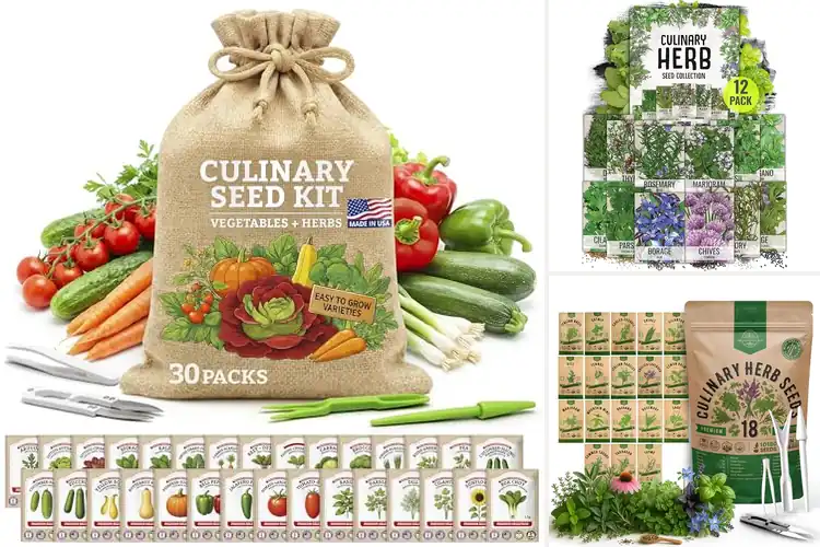 Detailed view of Best Culinary Seeds: Grow Fresh Flavor at Home with Ease