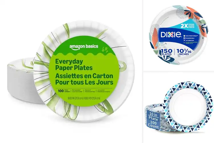 Detailed view of Best Disposable Plates