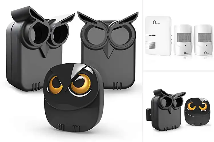 Detailed view of Best Driveway Alarms: Top 10 Picks for All-Weather Security