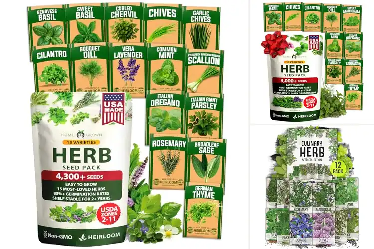 Detailed view of Best Garden Herb Seeds: Grow Fresh Flavors at Home Easily