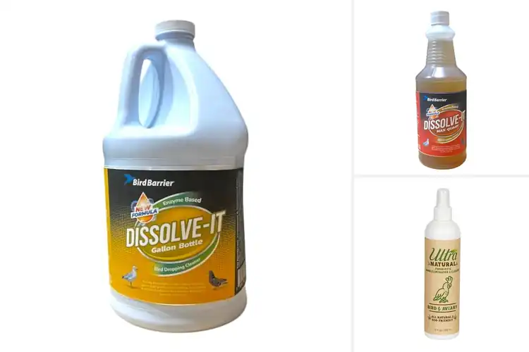 Detailed view of Best Odor Reducing Bird Products