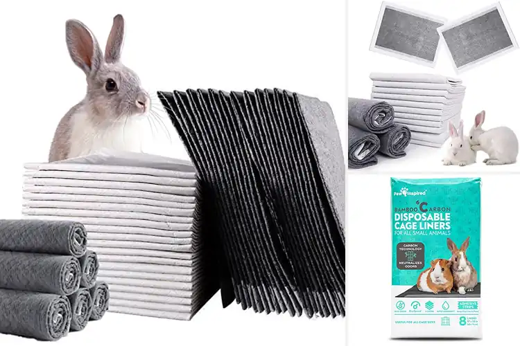 Detailed view of Best Odorless Cage Pads
