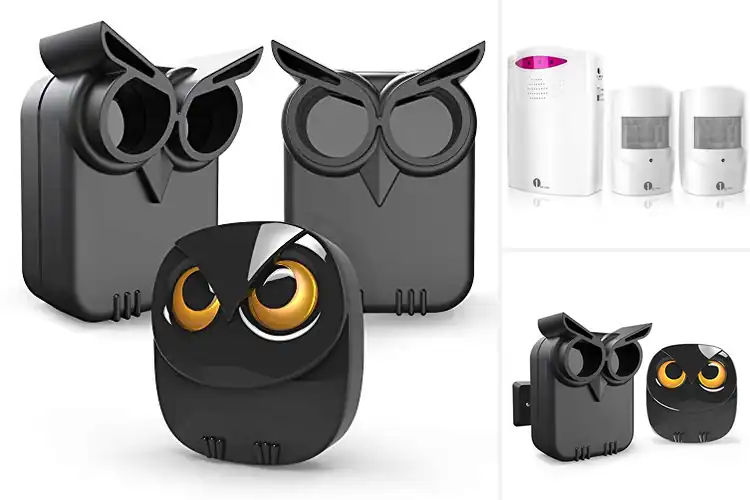Detailed view of Best Outdoor Property Alarms