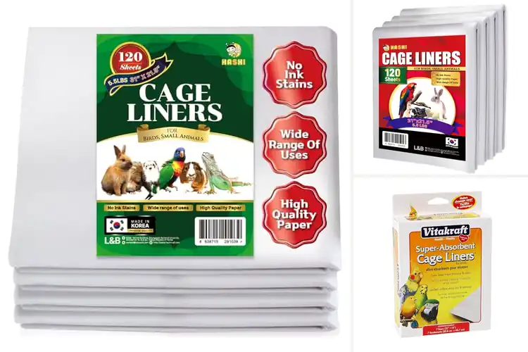 Detailed view of Best Parrot Cage Papers for a Cleaner, Fresher Habitat