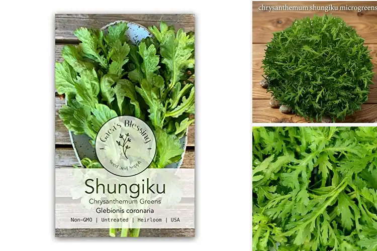 Detailed view of Best Shungiku Seeds: Top 10 Picks for a Flavorful Garden