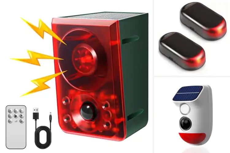 Detailed view of Best Solar-Powered Alarms