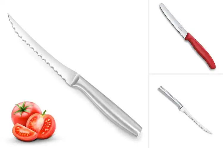 Detailed view of Best Tomato Knives