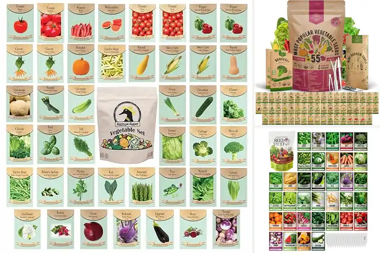 Detailed view of Best Vegetable Seeds
